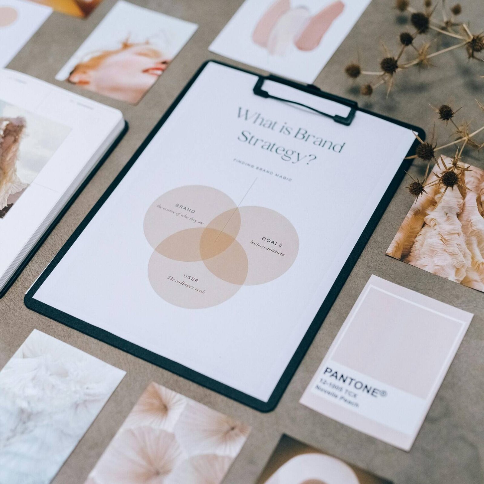 Identit&eacute; visuelle et branding